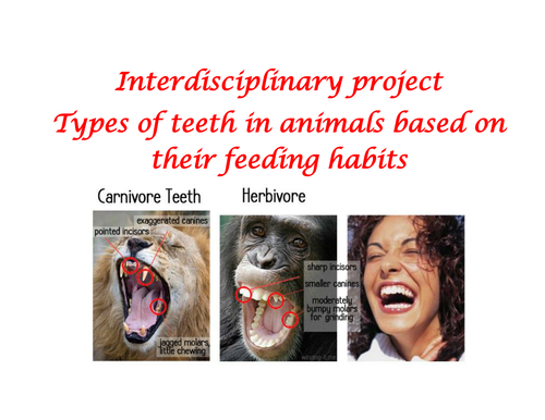 Interdisciplinary (Biology and maths)Project -Types of teeth in animals based on their feeding habit