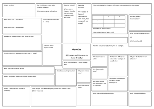 genetics revision sheet print a3