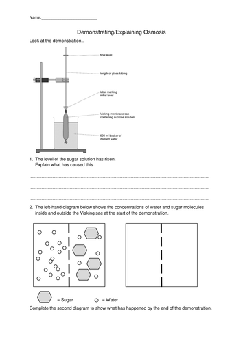 NEW AQA GCSE Osmosis Lesson/s.