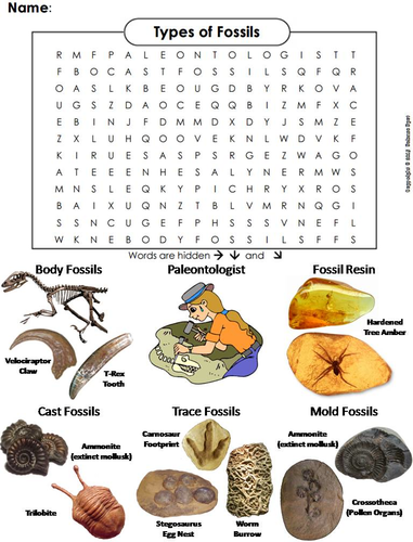 Types of Fossils Word Search