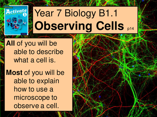 A multimedia version of B1 1.1 Observing Cells lesson from the Year 7 Science Activate book 1.