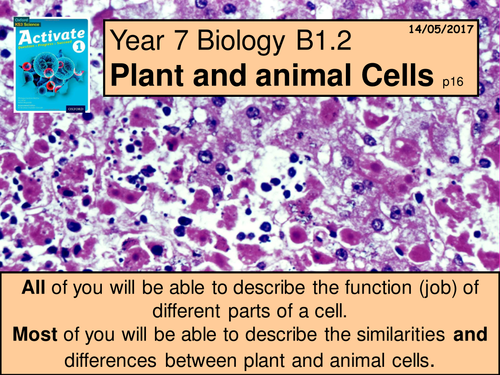 A Year 7 Multimedia version of the B1 1.2  "Plant and Animal Cells" lesson from Activate book 1.