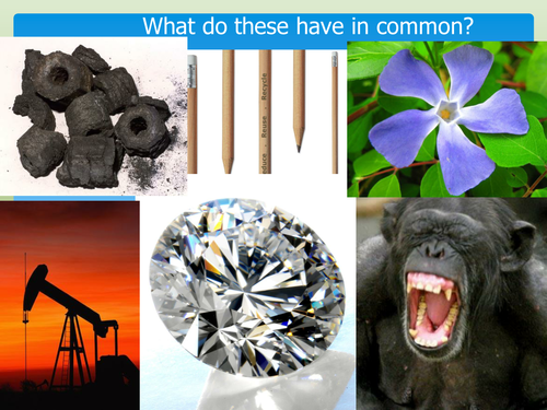 NEW AQA GCSE Carbon Cycle