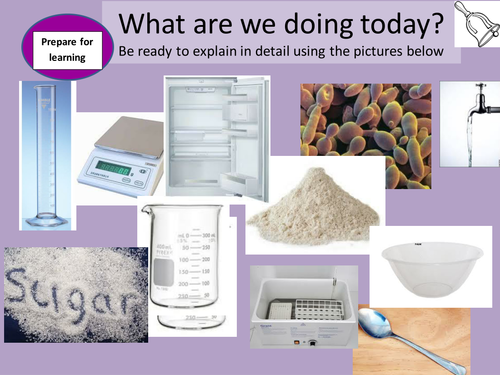 Microbes 3 - Microbes in Action: Yeast