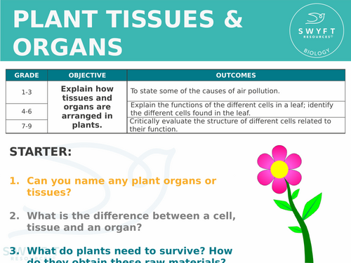 NEW AQA Trilogy (2016) Biology - Plant tissues & organs