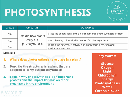 NEW AQA Trilogy GCSE (2016) Biology - Photosynthesis