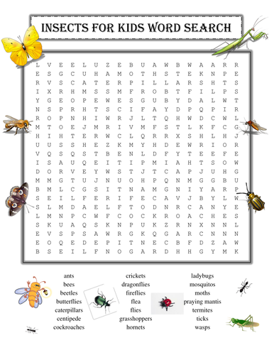 Animals Word Search Puzzle PLUS Insects for Kids Word Search (Both Puzzles)