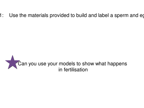A babies revision lesson