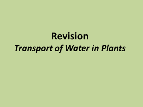 A level biology transport of substances in plants revision powerpoint and exam technique