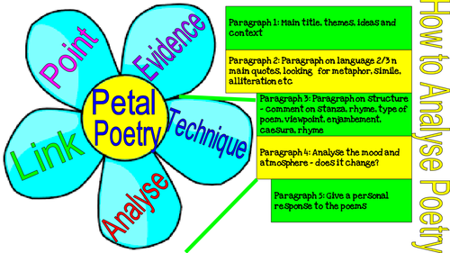 Petal in deals english