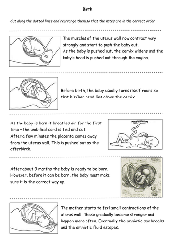 Pregnancy & Birth Lesson