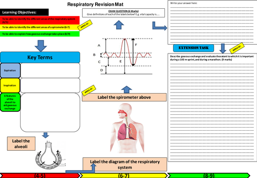 Respiratory System Learning Mat | Teaching Resources