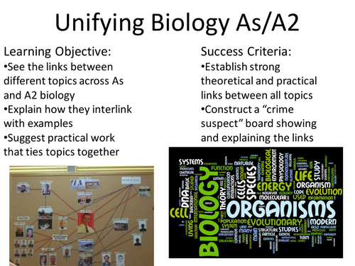 Unifying Biology AQA A-level "Crime Board" Revision Task