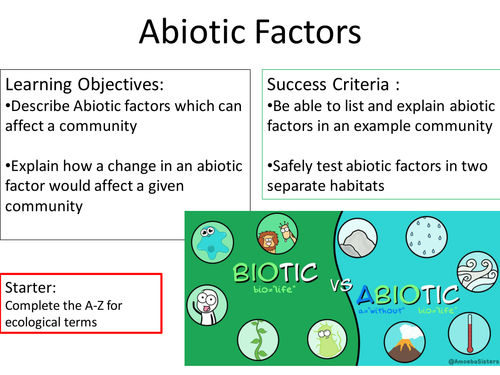 example of abiotic factors