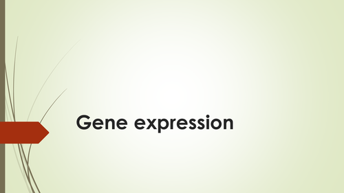 gene expression