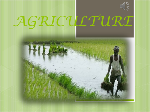 assignment about agriculture