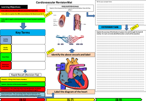 Cardiovascular System revision mat Teaching Resources