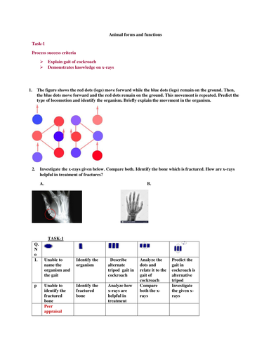 SOLO assessment worksheet on locomotion in animals