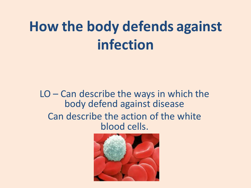 Biology lesson pack 2