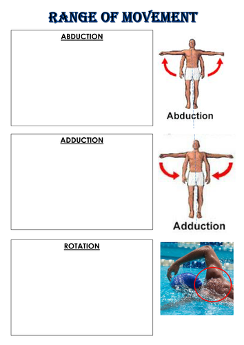 AQA GCSE PE (2016 specification) Skeletal system worksheets