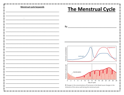Hormones and the menstrual cycle activities for Edexcel combined science/biology CB7a