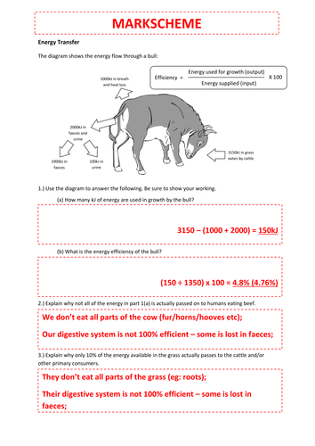 GCSE Biology - Energy Transfer Across Trophic Levels