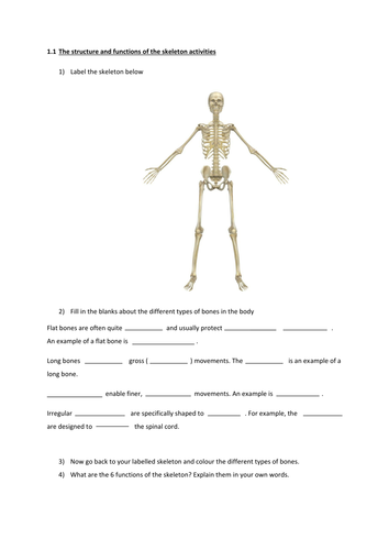 GCSE PE Unit 1 Anatomy and Physiology