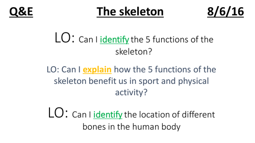 Functions of the Skeleton