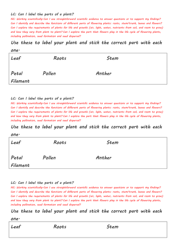 Matching parts of plant to functions