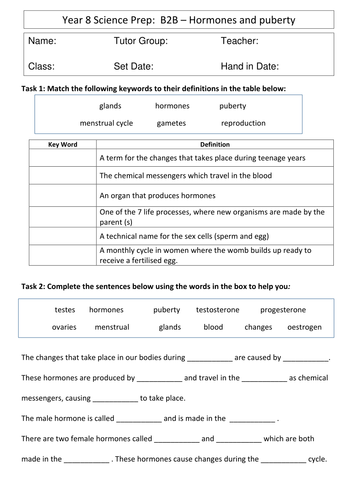 Immune system worksheet 1 answer key image