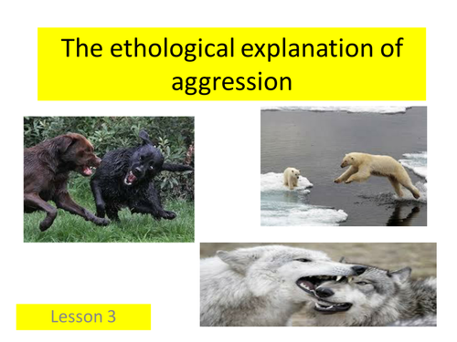 Paper 3 - The ethological explanation of aggression