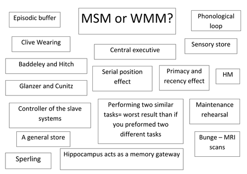 Paper 1 - Memory - colour the sentence which matches the MSM and WMM