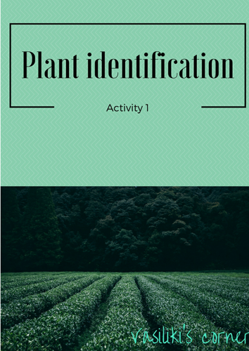 Plant identification Activity 1