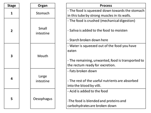 Deficiencies: Full lesson including activities