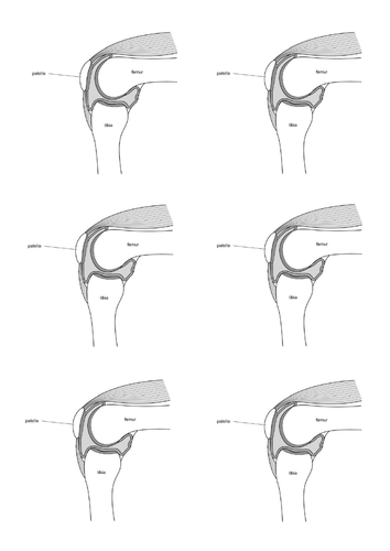 Joint diagram 6 per page