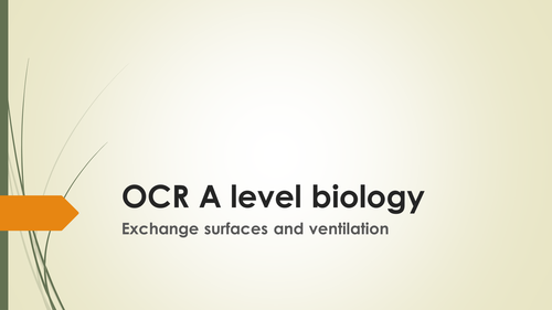 OCR A level biology gas exchange in animals