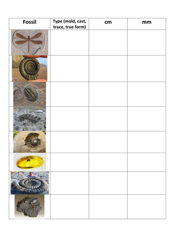 Year 3 Rocks Topic resources Rock On!