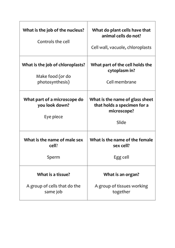 Quiz Quiz Trade Kagan Activity - Cells