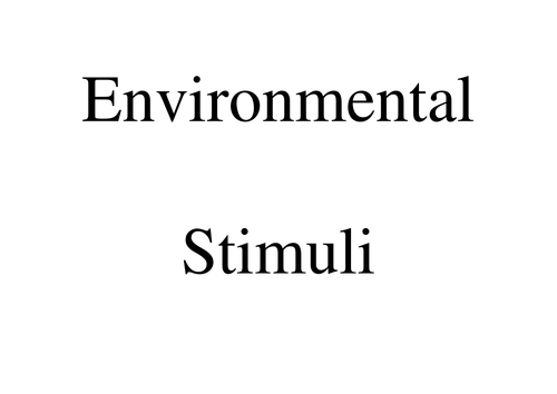 Paper 1 - MSM and WMM | Teaching Resources