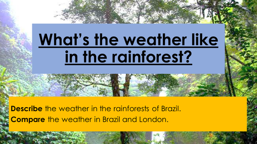 What's the weather like in the rainforest? Climate graph and forecast for Brazil