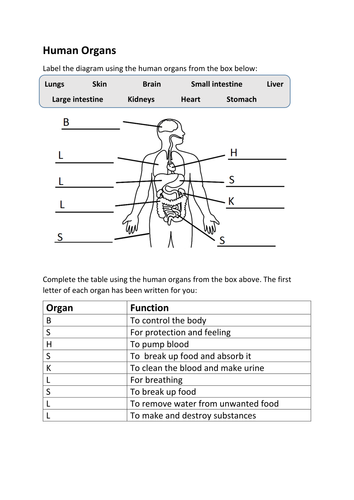 human body worksheets for kids - techsurgeons access blocked human body