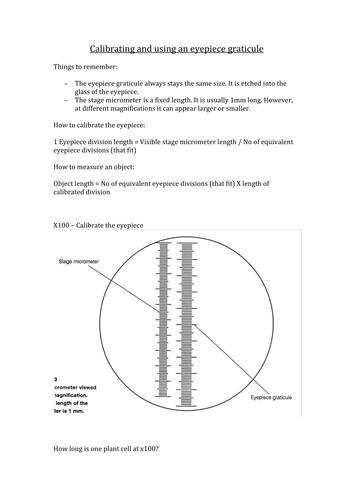 Calibrating a graticule worksheet | Teaching Resources eye diagram of the kindergarten 