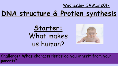 New AQA GCSE Biology Inheritance L3: DNA and Protein Synthesis