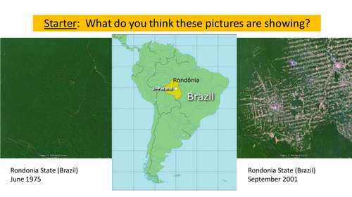 Ecosystems: Deforestation (Edexcel A GCSE 9-1)