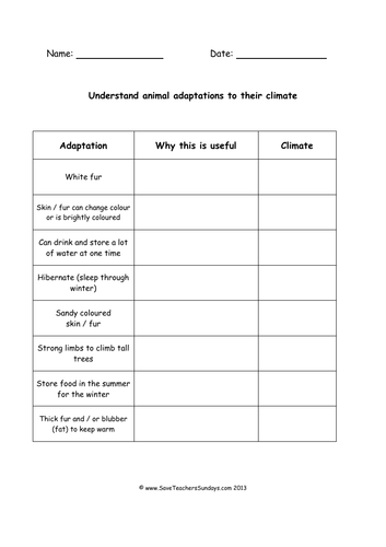 Animal Adaptations KS2 Lesson Plan and Worksheets | Teaching Resources