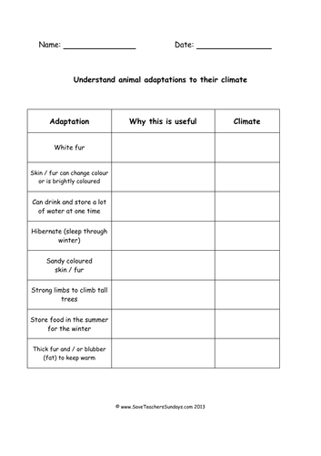 Animal Adaptations KS2 Lesson Plan and Worksheets