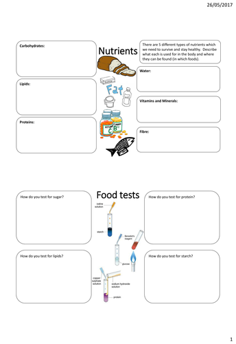 ks3 year 8 revision worksheets activate course