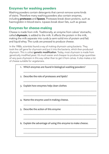 Edexcel B3 unit 1 Biotechnology Revision Enzyme uses