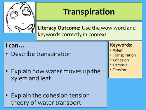 Water Transport Lesson