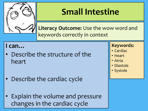 AQA AS Biology - Heart Structure Lecture Notes and Practice Questions